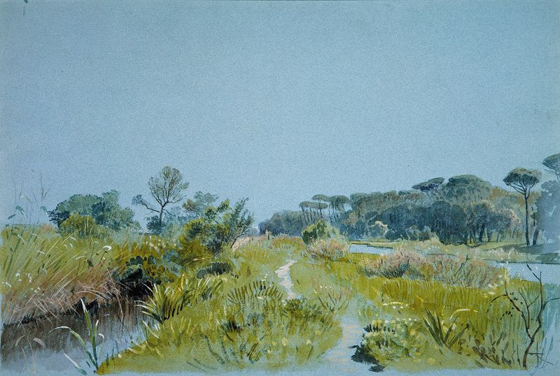 Pintura a óleo de William Stanley Haseltine retratando um prado sob um céu ensolarado.
