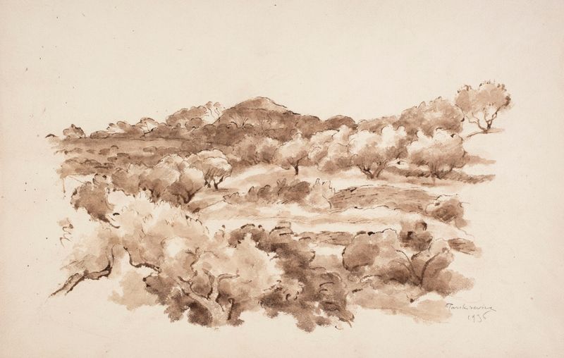 Olive groves in La Ciotat, óleo sobre tela de Józef Pankiewicz