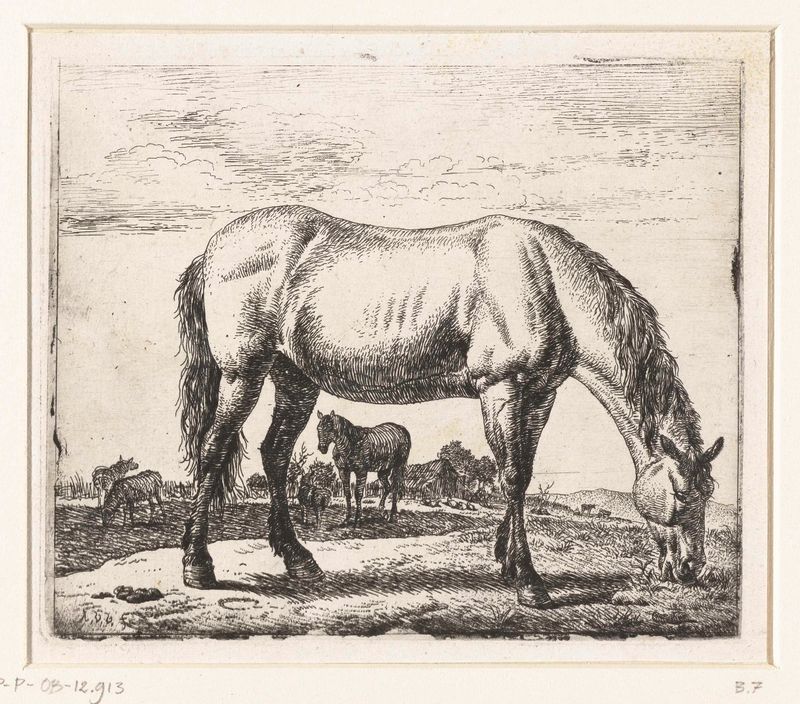 Grabado de un caballo en luz natural por Adriaen van de Velde