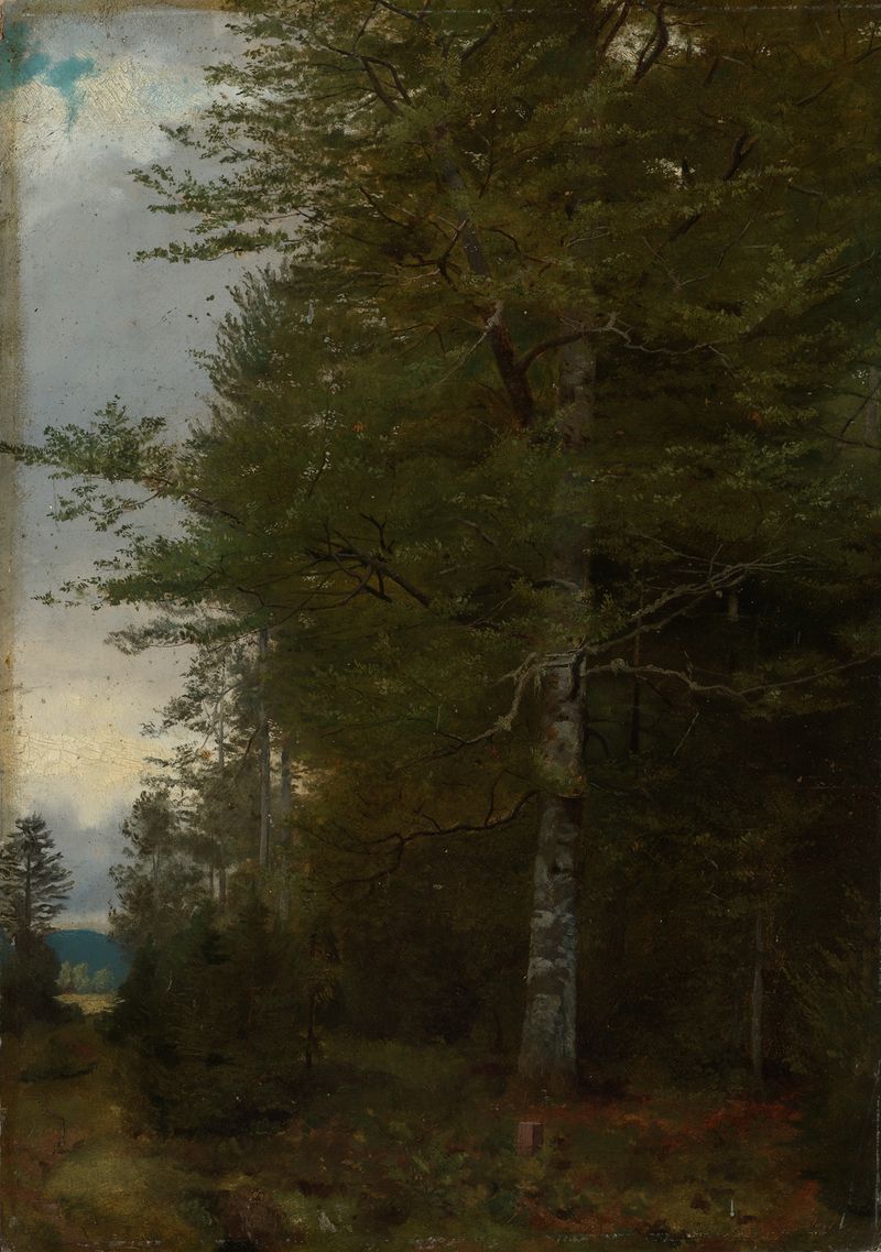 Buche am Waldrand de Hans Thoma, óleo sobre lienzo que representa un haya en un bosque.