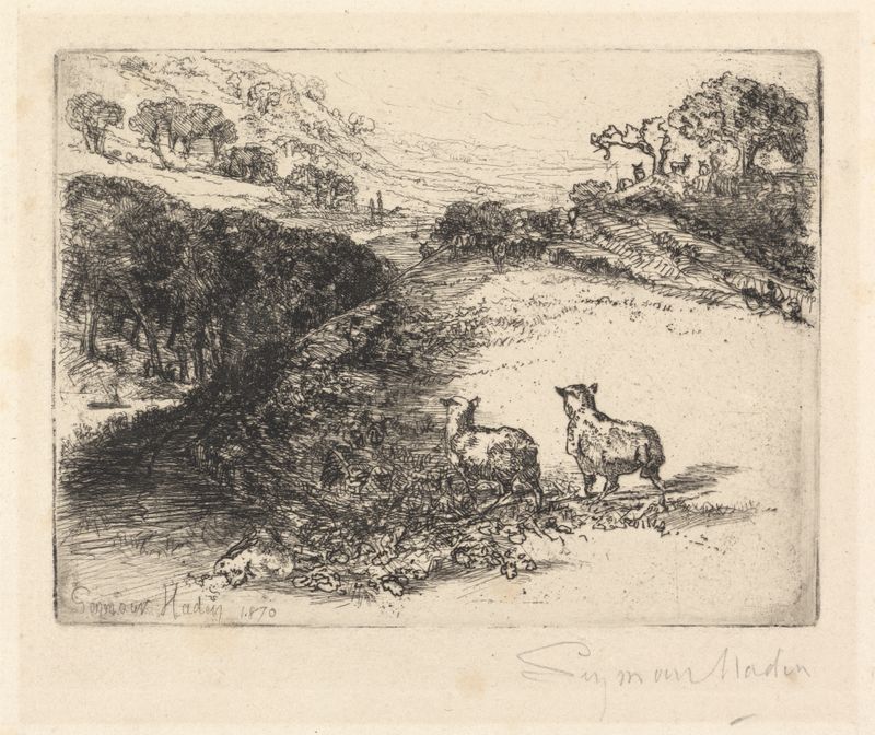 Dos ovejas iluminadas por luz suave, grabado de Francis Seymour Haden