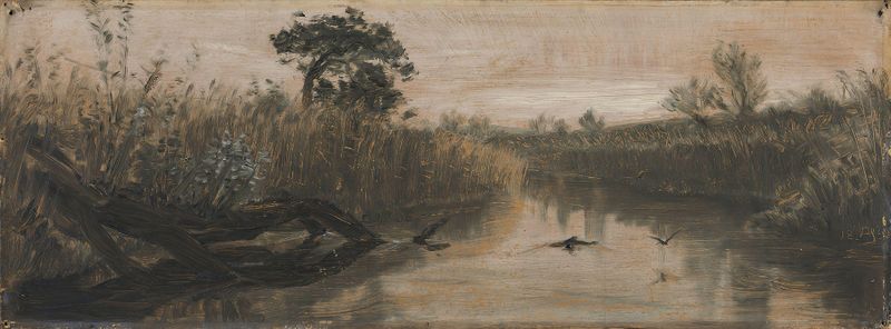 Watercolour by August Jerndorff depicting reeds and a river landscape