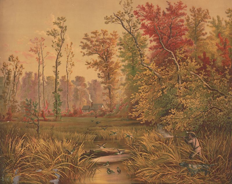 Duck shooting scene in Indiana, lithograph by Gibson & Co. Lith
