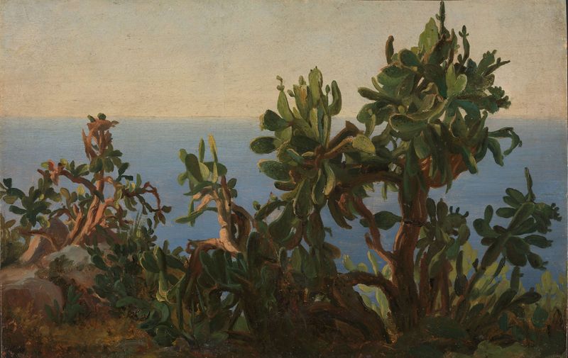 Cactus de Thomas Fearnley, óleo sobre tela, apresentando um cacto em uma vasta paisagem.