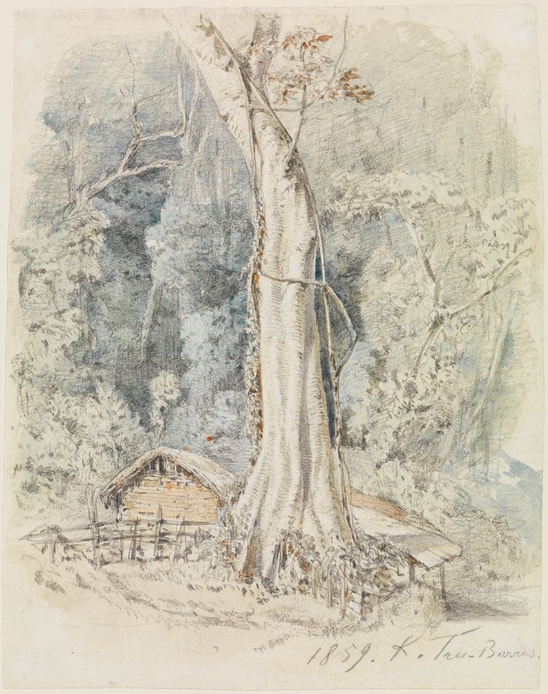 Landscape depicting a house in a forest, oil painting by Ferdinand Keller