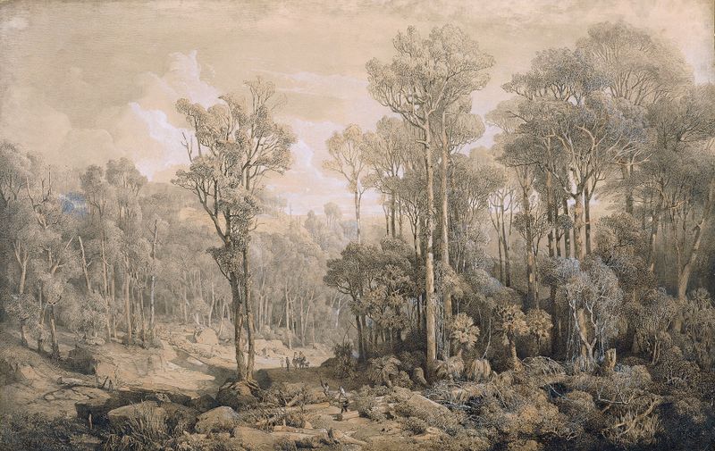 Australischer Wald by Joseph Selleny, oil painting depicting a forest with intertwining branches.