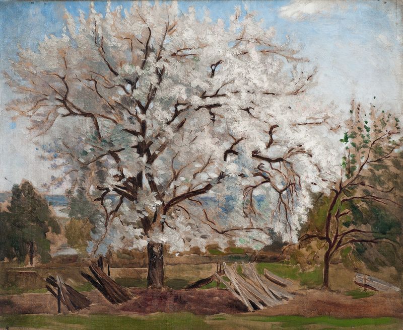 Apple Tree in Blossom by Carl Fredrik Hill, oil on canvas showing pink blossoms and green foliage