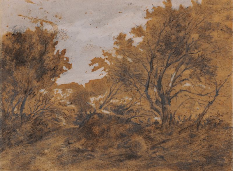 Paysage boisé, coup de vent by Théodore Rousseau, oil on canvas showing gnarled trees in a stormy landscape.