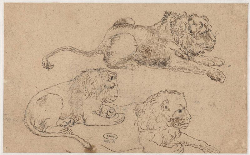 Desenho de três leões em papel de Unknown Artist