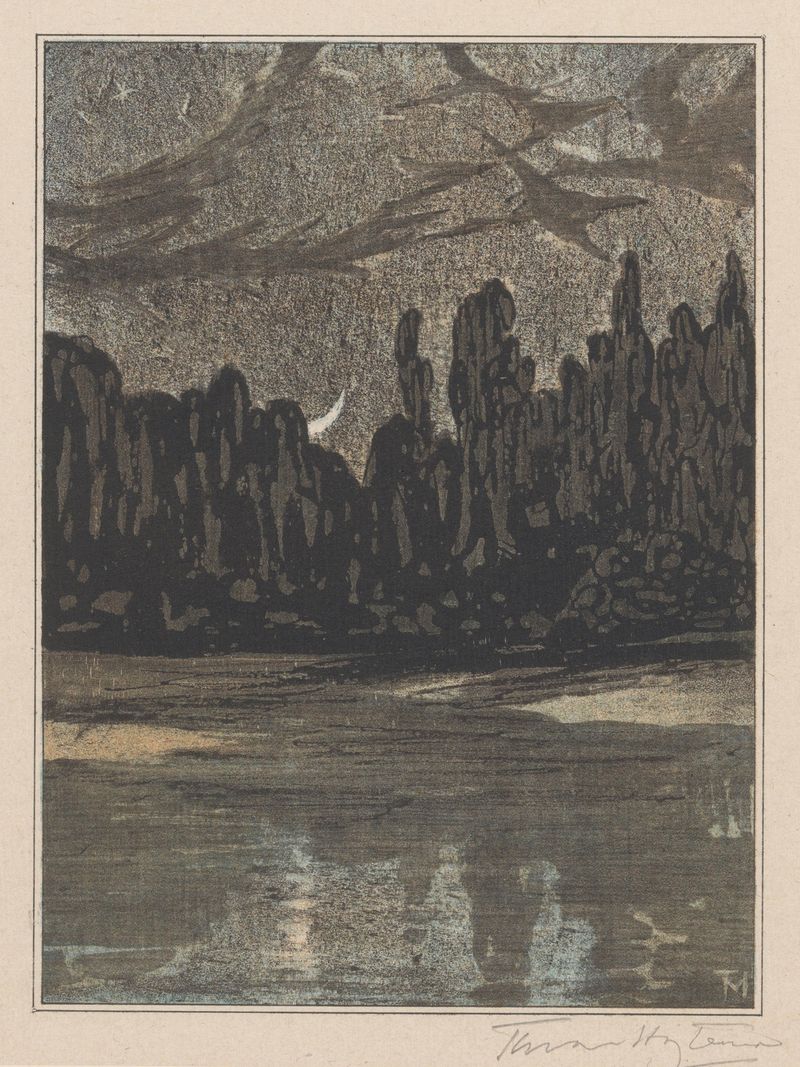 Twilight landscape with migratory birds by Theo van Hoytema, medium unknown