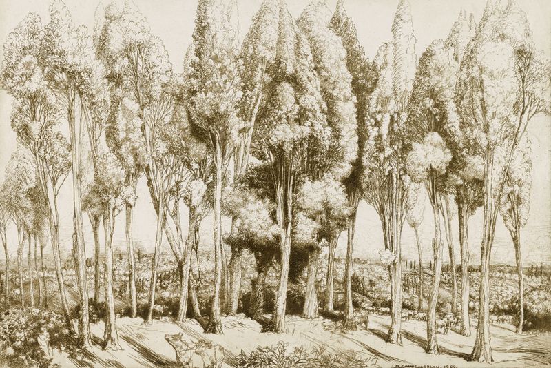 Paisagem com tons vibrantes de ouro e verde de Donald Shaw MacLaughlan