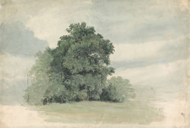 Study of Trees at the Edge of a Field by Cornelius Varley, depicting trees and grass in a landscape.