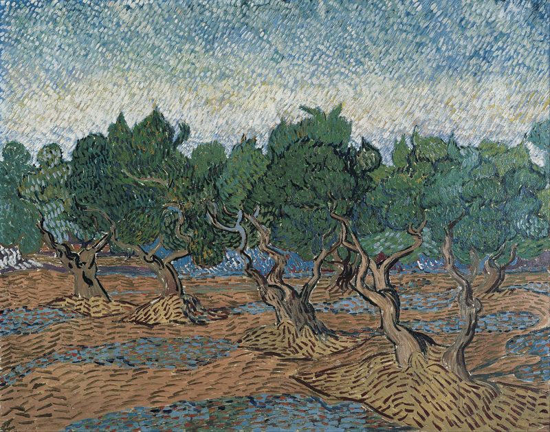 Olive grove by Vincent van Gogh, oil on canvas, featuring gnarled olive trees and vibrant greens