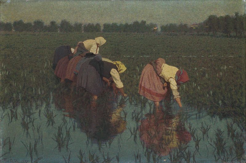 Le risaiuole by Angelo Morbelli, oil painting showing women laboring in a rice field with golden light
