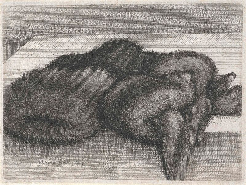 Gravura de stole forrado de pele por Wenceslaus Hollar, mostrando textura luxuosa e emoção humana.