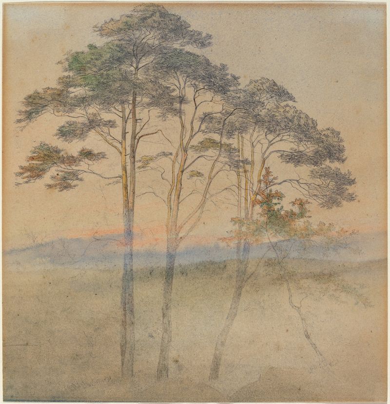 Landscape with pines in morning fog, oil on canvas by Ernst Ferdinand Oehme