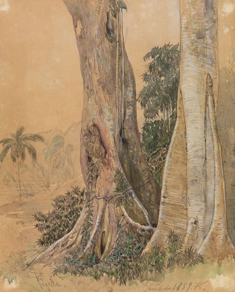Figeira-Stämme am Ufer des Parahyba by Ferdinand Keller, oil painting depicting fig trees by a river