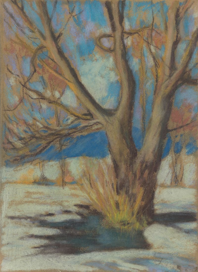 Estudo de uma Árvore Pelada no Inverno, aquarela sobre papel de Zolo Palugyay