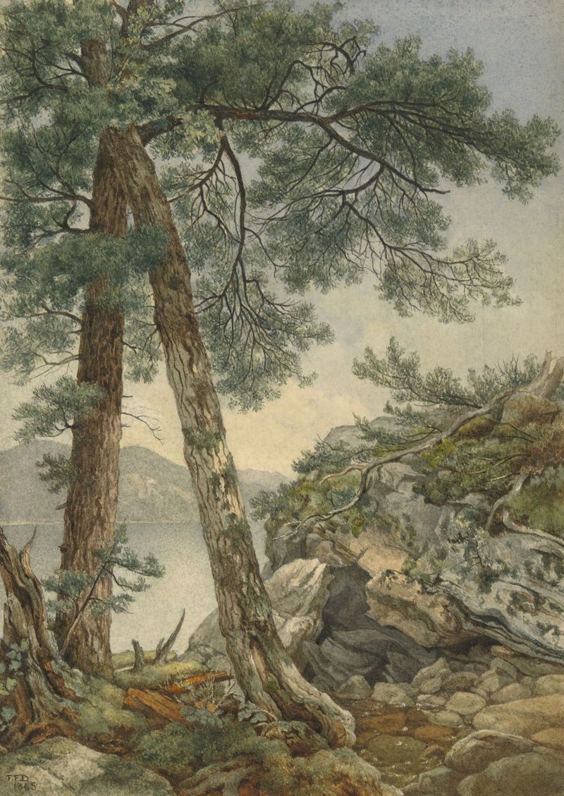 Through the Trees, oil painting by Frederick Frank Durand, showing light filtering through a forest canopy.