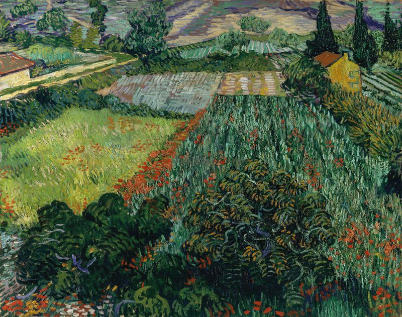 Campo com Papoulas óleo de Vincent van Gogh com flores vermelhas vibrantes e um céu dourado