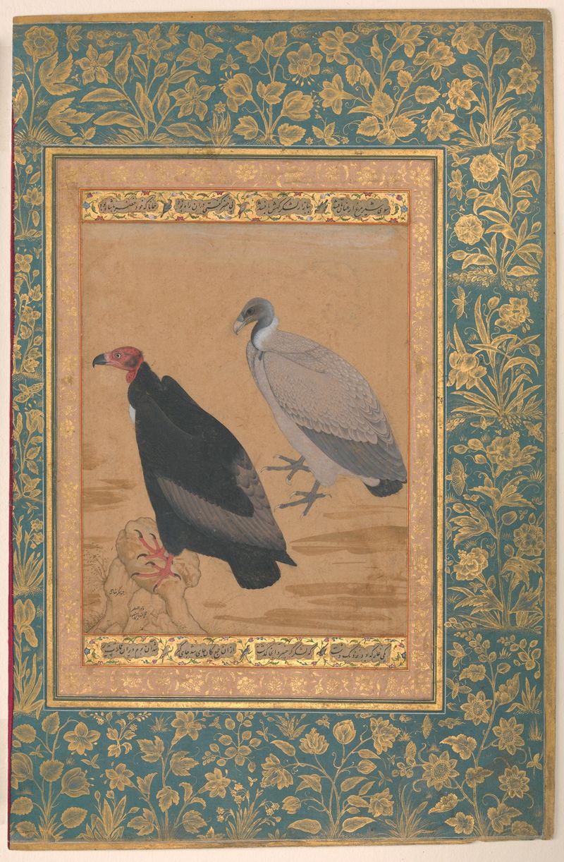 Gold folio by Mansur depicting a red-headed vulture and long-billed vulture