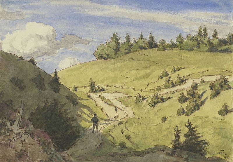 Landscape in the Black Forest by Hans Thoma, oil painting depicting a dense forest with trees and greenery.