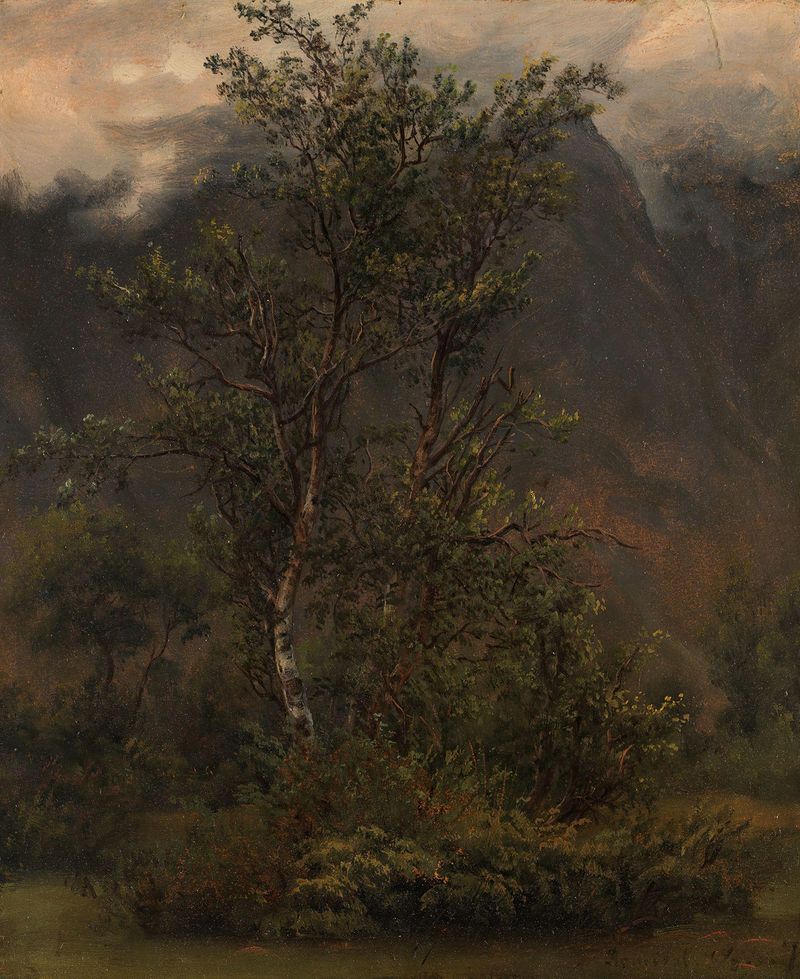 Study of Birches in Romsdal, oil on canvas by Thomas Fearnley, featuring birch trees in a tranquil setting.