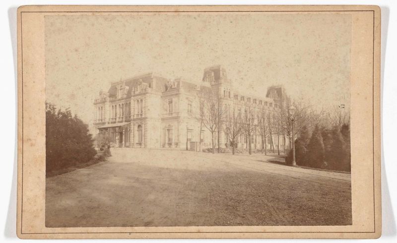 Botanical scene featuring a garden, albumen print by J.S.J. de Jongh
