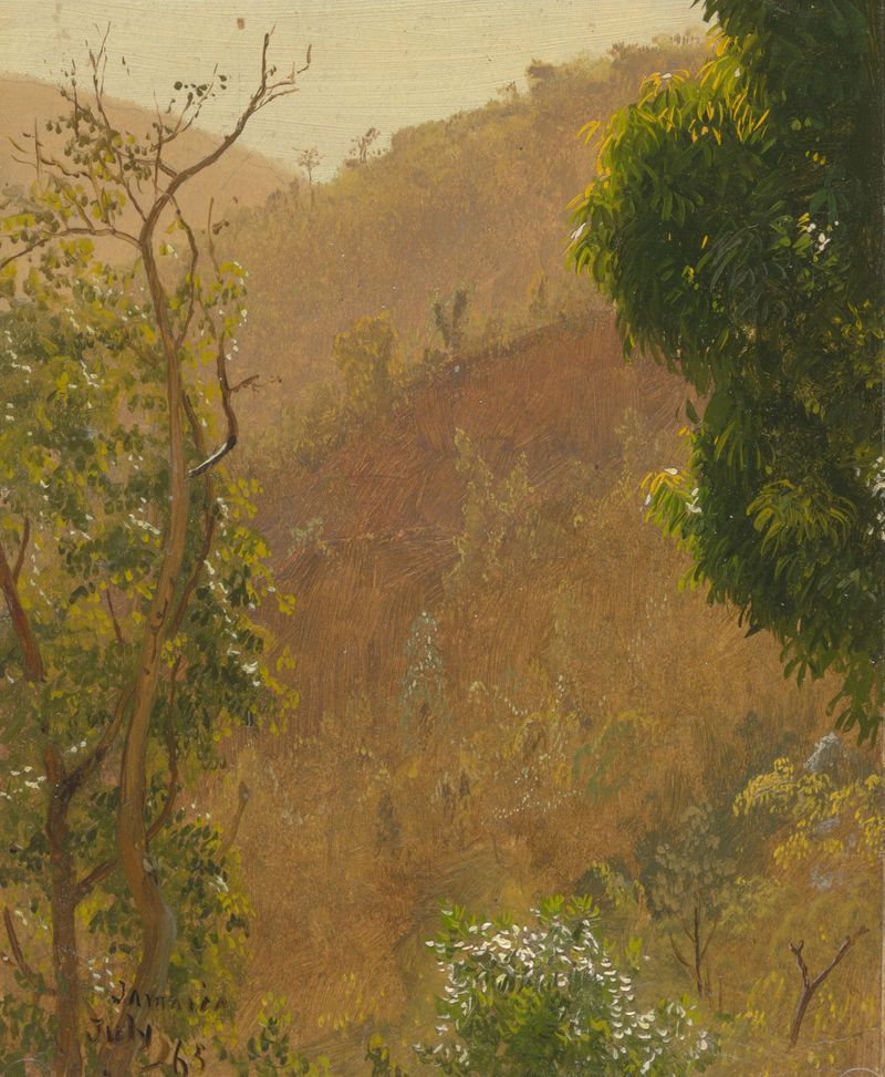 Landscape IV de Frederic Edwin Church, pintura a óleo que retrata luz solar e vegetação exuberante.