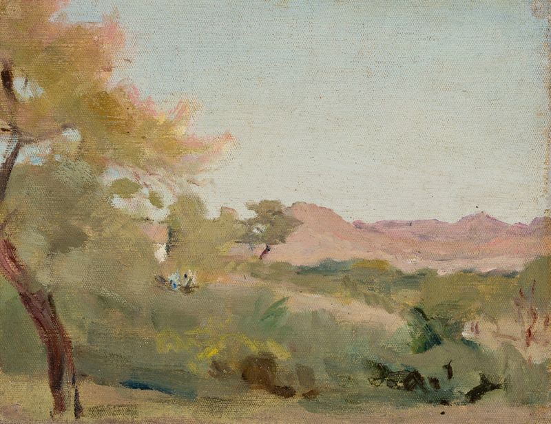 Udaipur – paisaje indio óleo de Jan Ciągliński