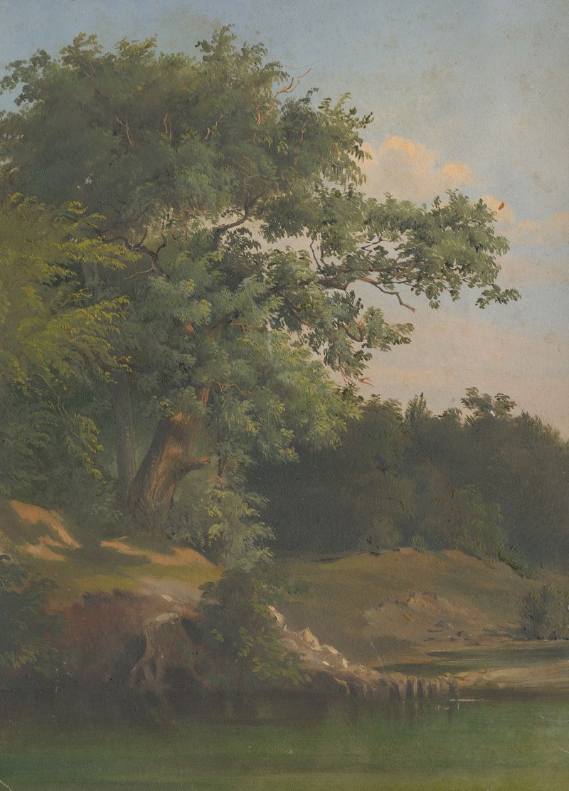 In the Forest by Friedrich Carl von Scheidlin, oil on canvas depicting trees and light in a serene landscape.