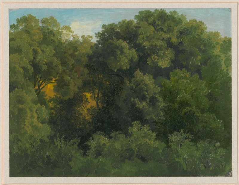 Escena de bosque con luz filtrada, pintura al óleo de Arthur Blaschnik