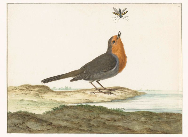 Roodborstje, óleo sobre lienzo de Johannes Bronkhorst, presenta un petirrojo posado en una rama.
