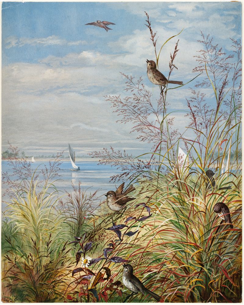 Watercolour by Fidelia Bridges depicting barren branches and pale sky