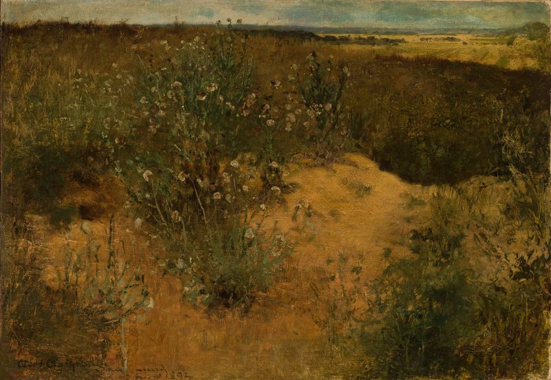 Paisagem com cardos, óleo sobre tela de Curt Agthe, apresentando cardos afiados em primeiro plano.