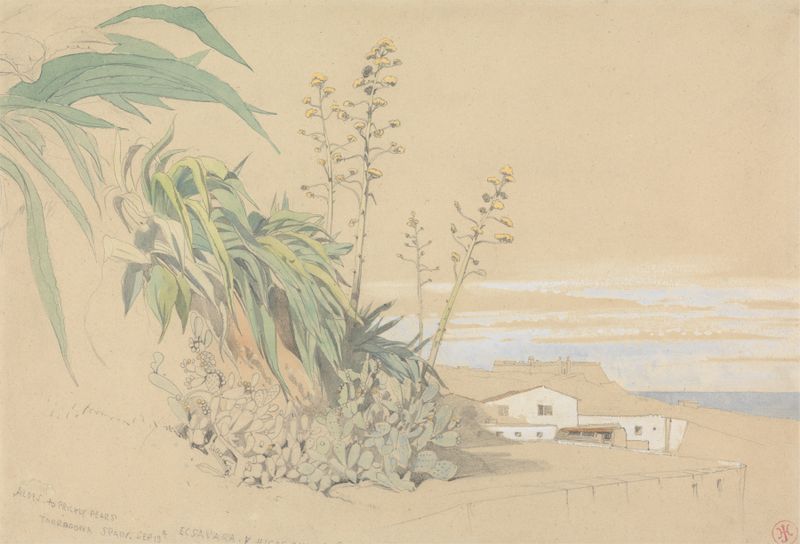 Aloes y Peras Espinosas, óleo sobre lienzo de Harry John Johnson