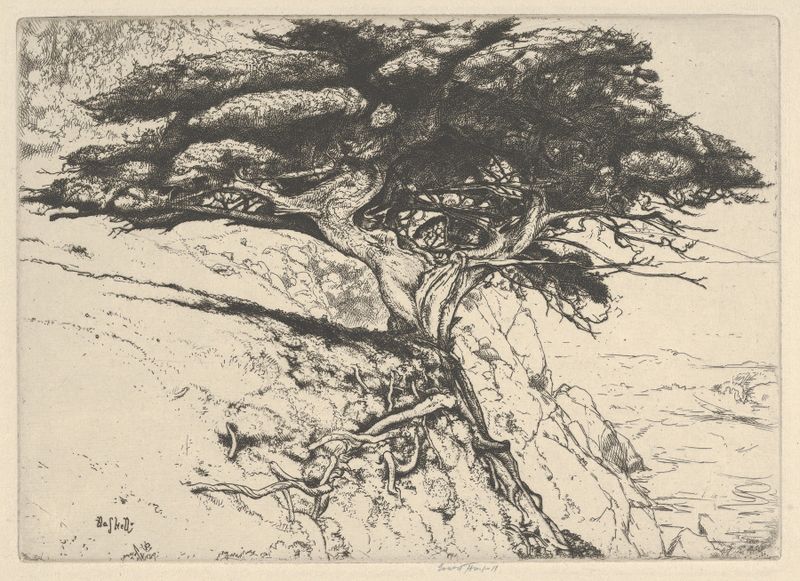 Fan Tree de Ernest Haskell, acuarela sobre papel que representa un paisaje vibrante con formas de árbol intrincadas.