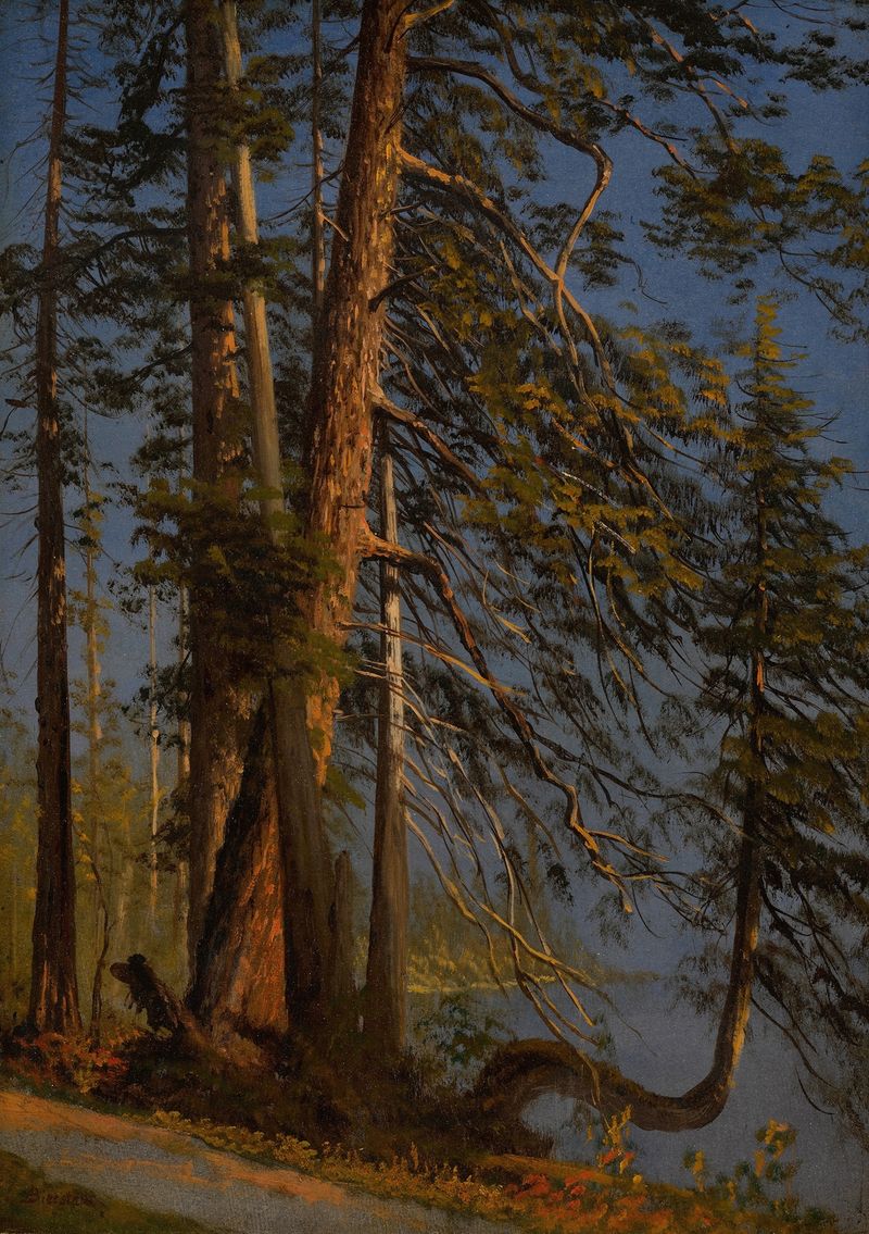 Park at Vancouver de Albert Bierstadt, pintura al óleo que representa un bosque tranquilo con luz moteada.