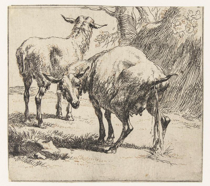 Cena pastoral com uma ovelha e uma ovelha, gravura de Nicolaes Pietersz Berchem