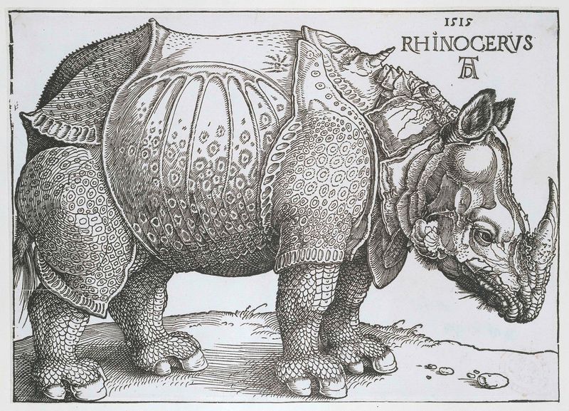 Rhinoceros etching by Albrecht Dürer, paper medium