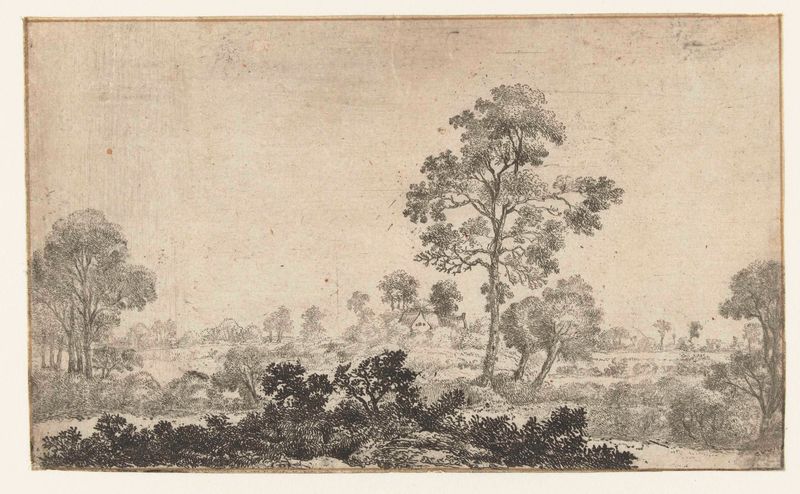 Landschap met twee wilgen bij grote boom, etching by Jan van Brosterhuyzen depicting a serene landscape with willows.