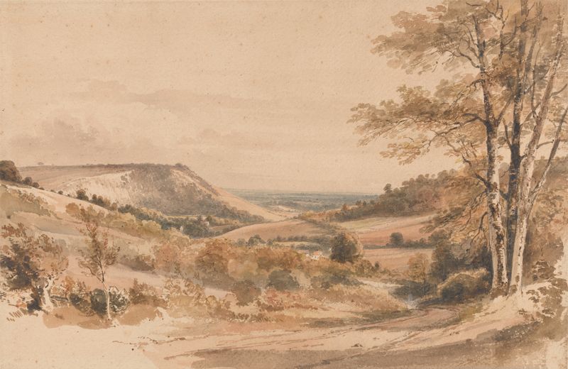 Landscape depicting Boxhill from Westhumble Lane by Henry Edridge, oil painting