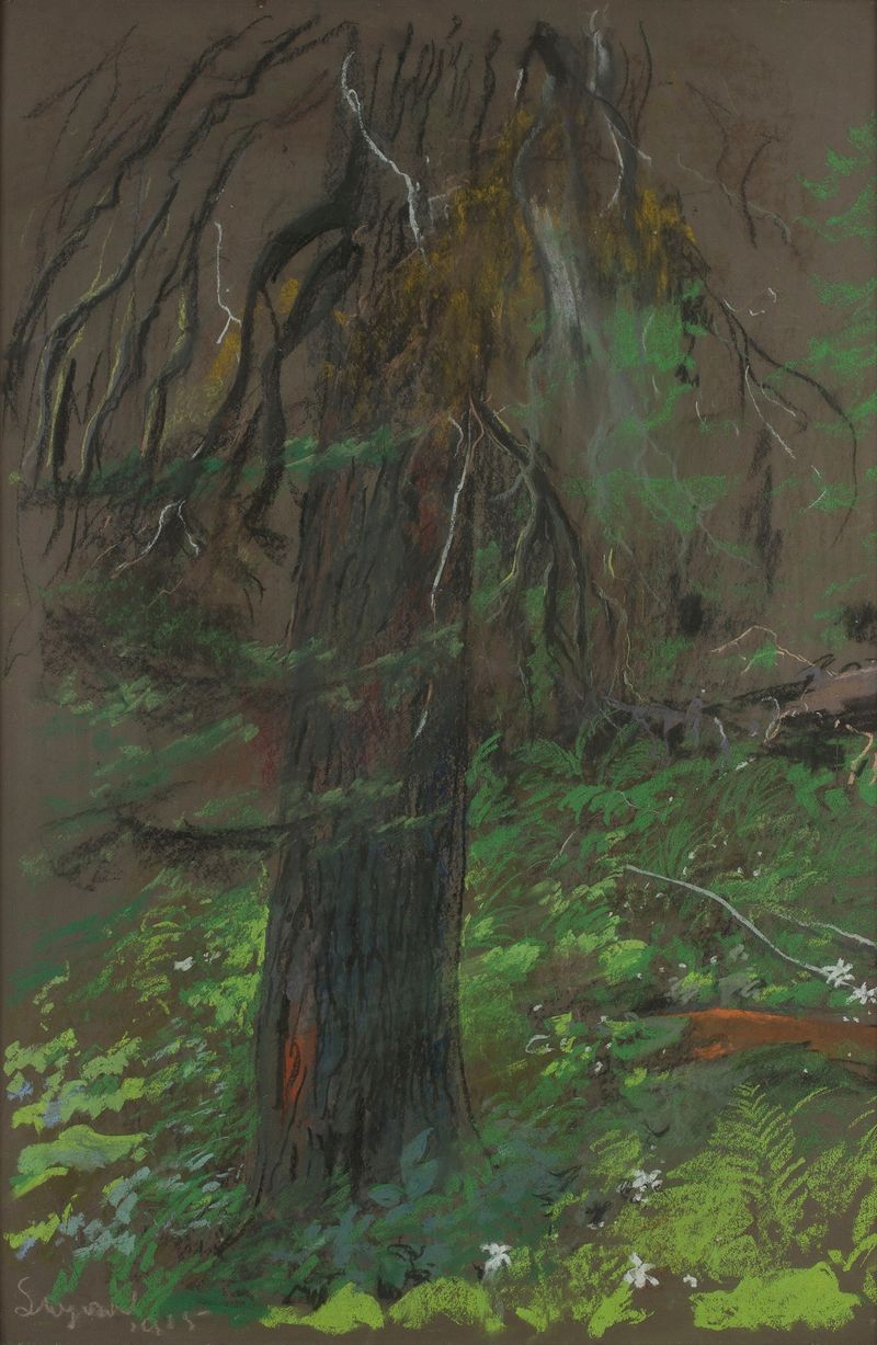 Spruce by Leon Wyczółkowski, oil painting depicting a serene forest with deep greens and browns.