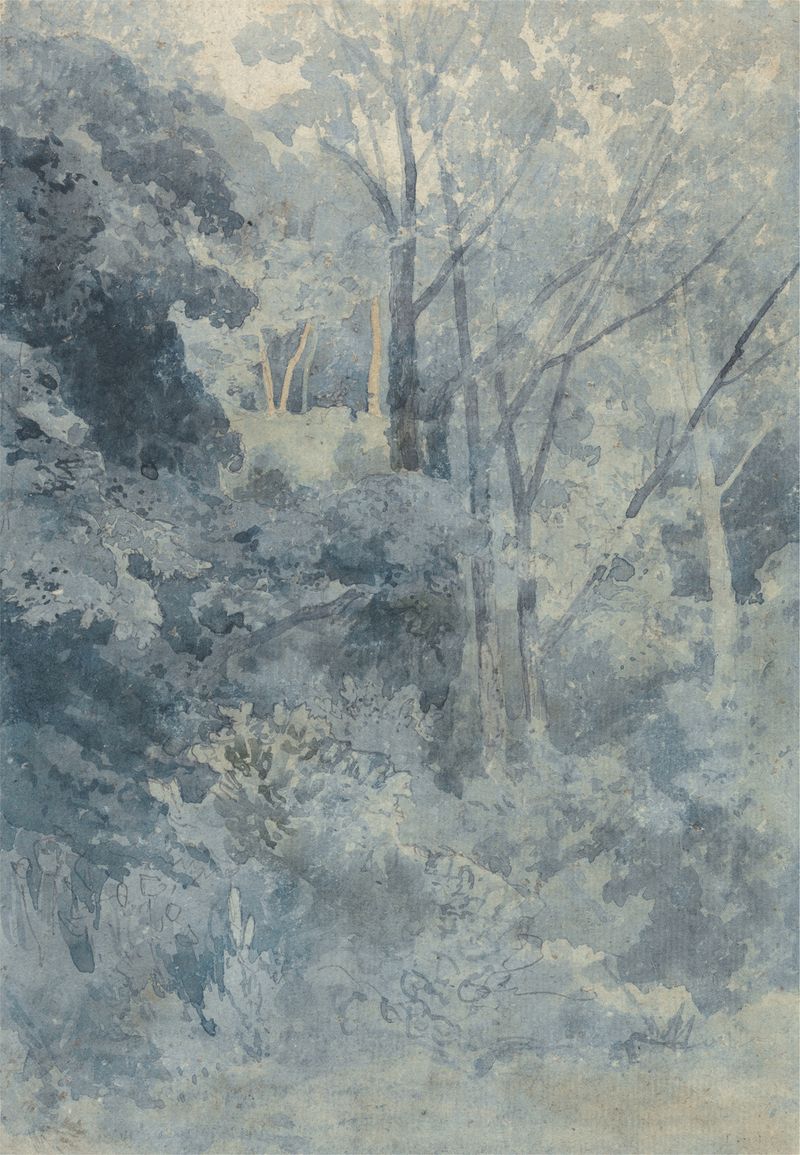 Paisaje con follaje exuberante y un río, pintura al óleo de John Sell Cotman