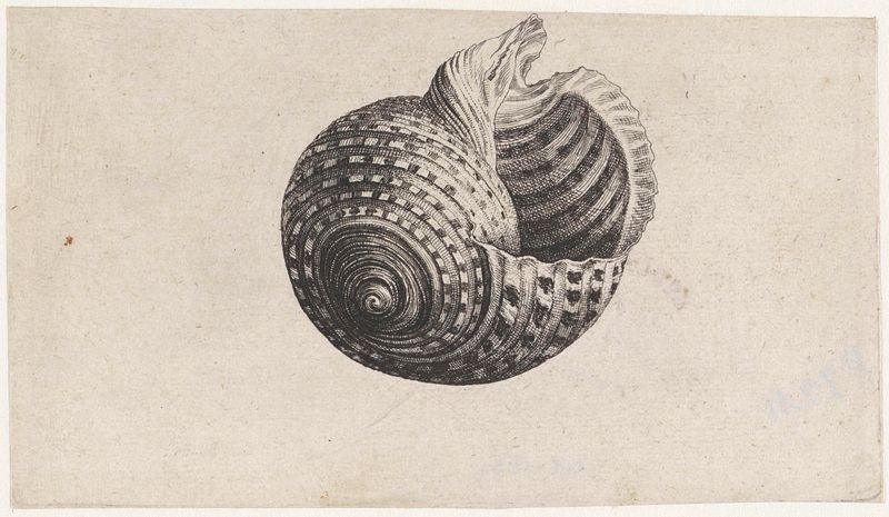 Grabado de Wenceslaus Hollar que representa un recipiente de aceite con detalles intrincados.