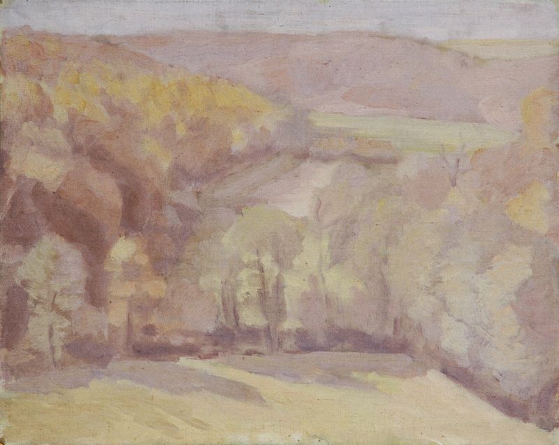 Hügellandschaft by Walther Gamerith, oil on canvas depicting undulating hills and a vast sky.