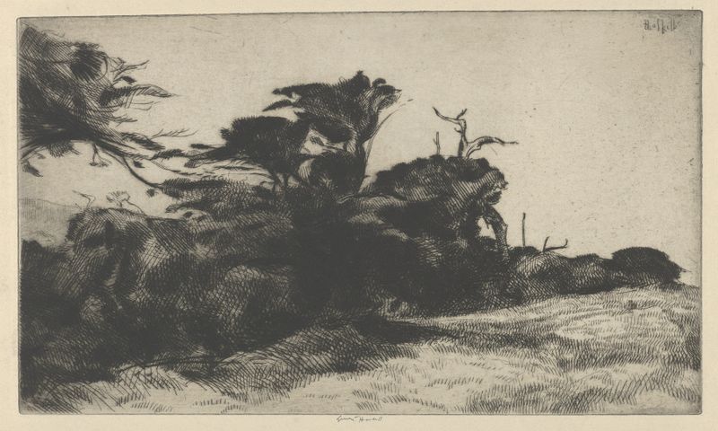Cypress Study No. 2 de Ernest Haskell, acuarela sobre papel que muestra árboles de ciprés delgados y follaje exuberante.