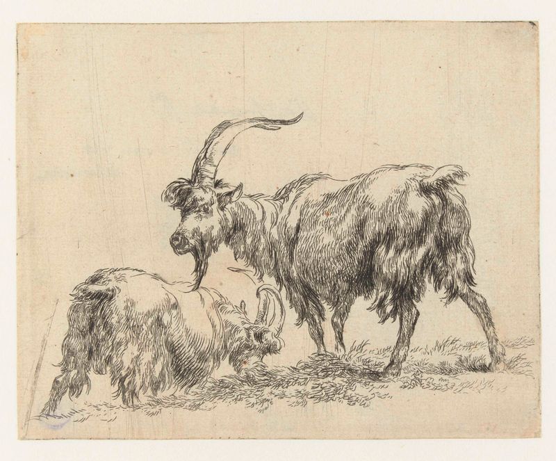 Dos cabras en un paisaje verde, grabado de Nicolaes Pietersz Berchem
