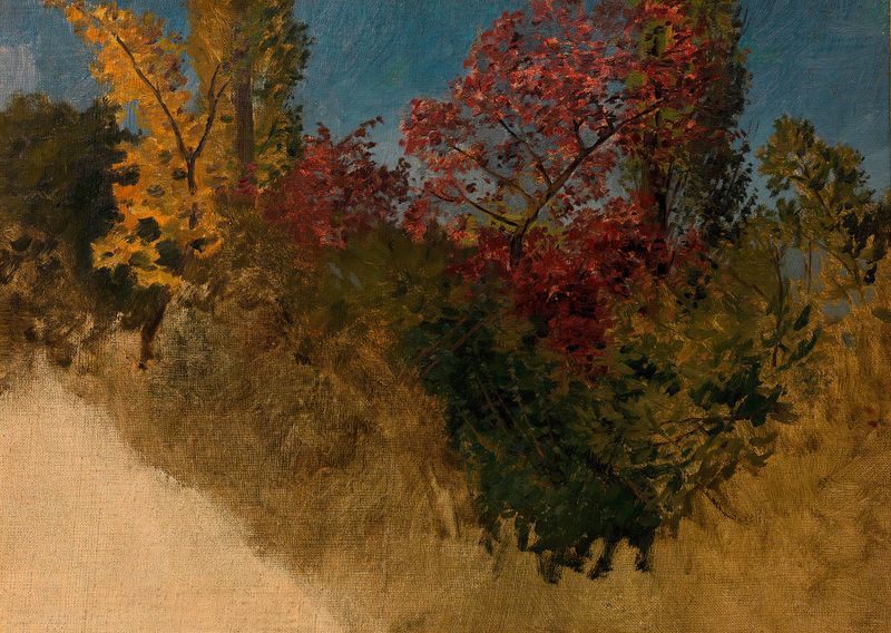 Waldstudie (Bäume und Sträucher) by Adolf Ditscheiner, oil on canvas depicting a tranquil forest landscape.