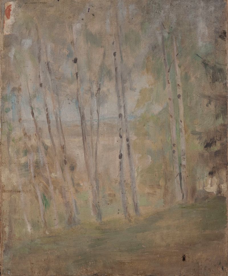Maryino – birch trees de Jan Ciągliński, impresionismo, abedules iluminados por el sol